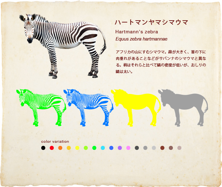 ハートマンヤマシマウマ